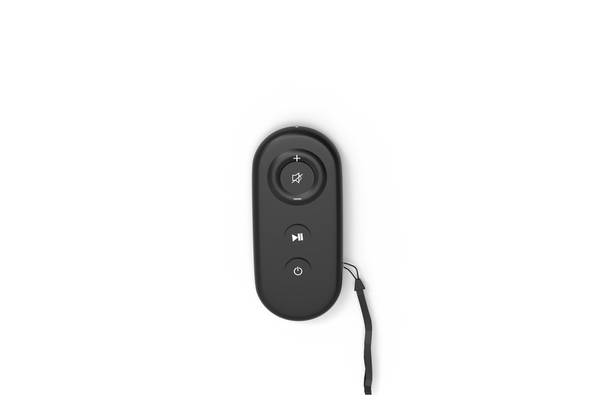 Akluer Remote Control for P03B H03